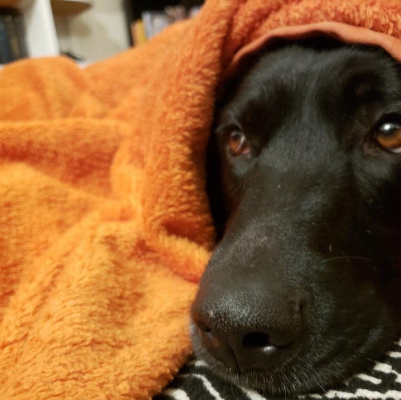 Meet your Posher, Y - Picture 1 of 1